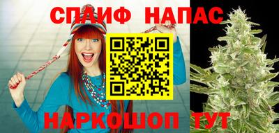 a pvp Новокубанск