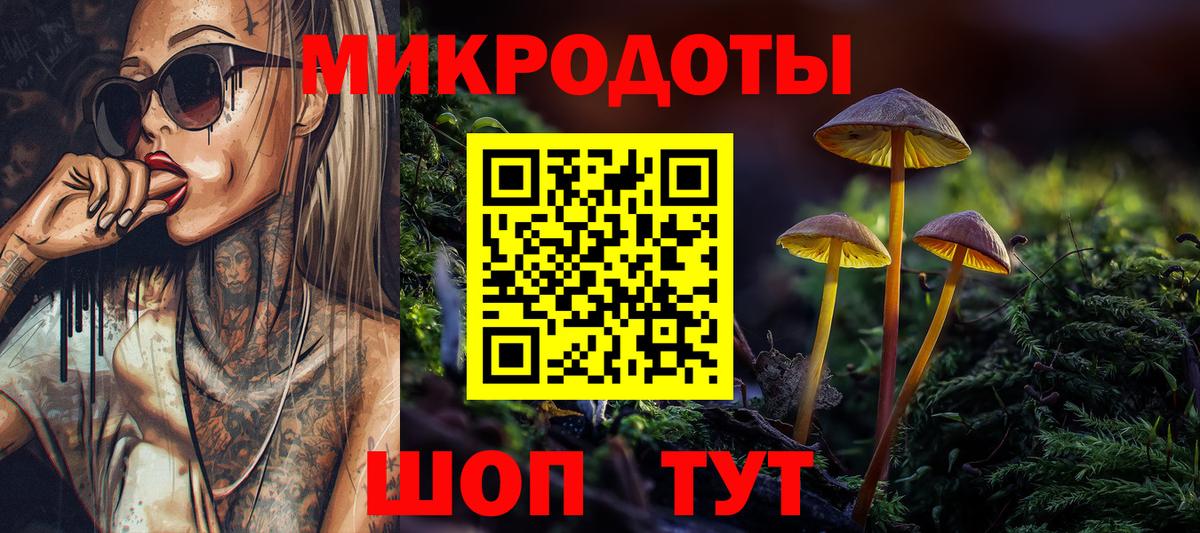 Псилоцибиновые грибы Psilocybe Тосно